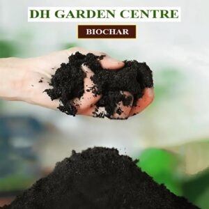 biochar